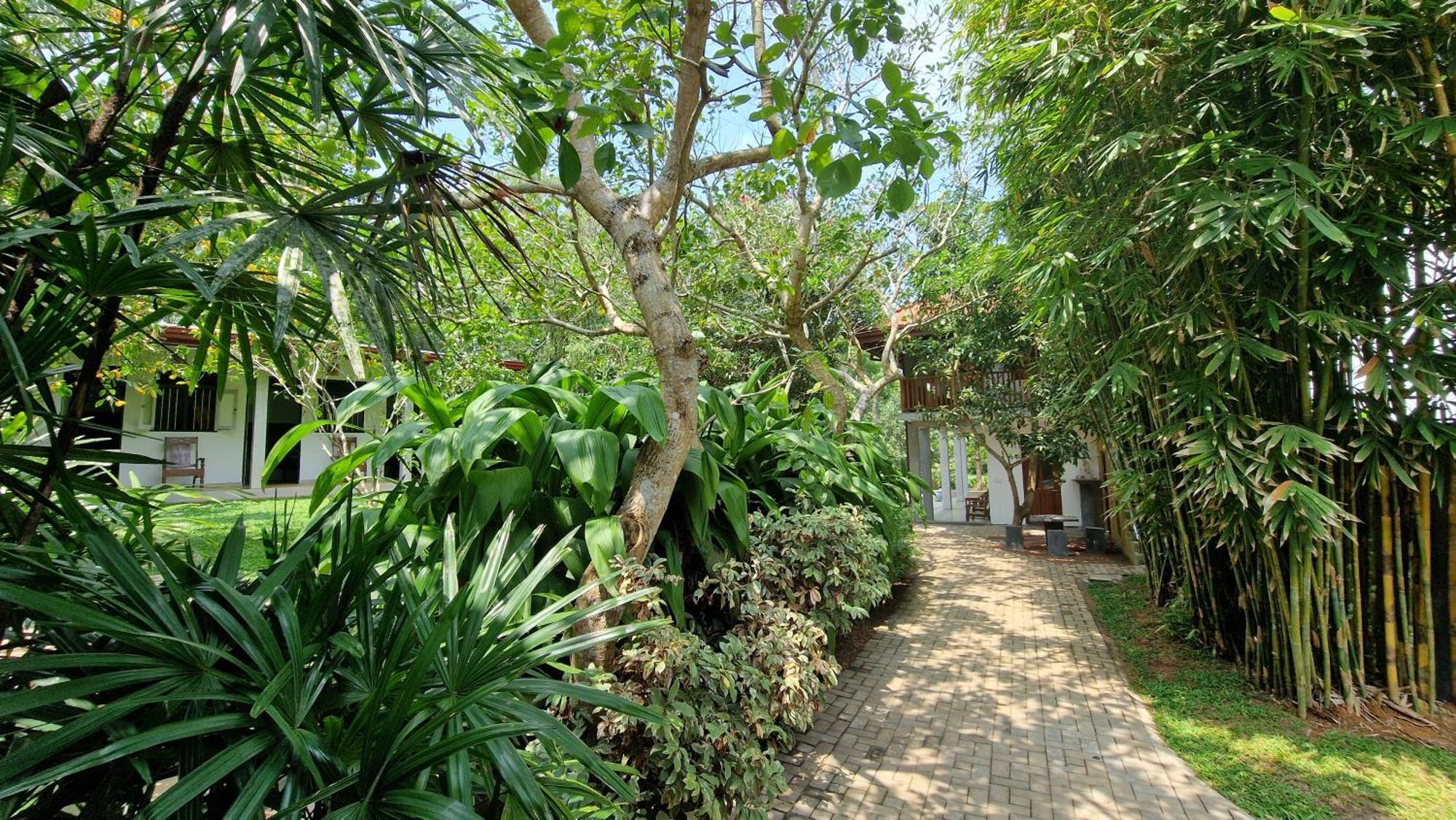 Villa Arana בנטוטה מראה חיצוני תמונה