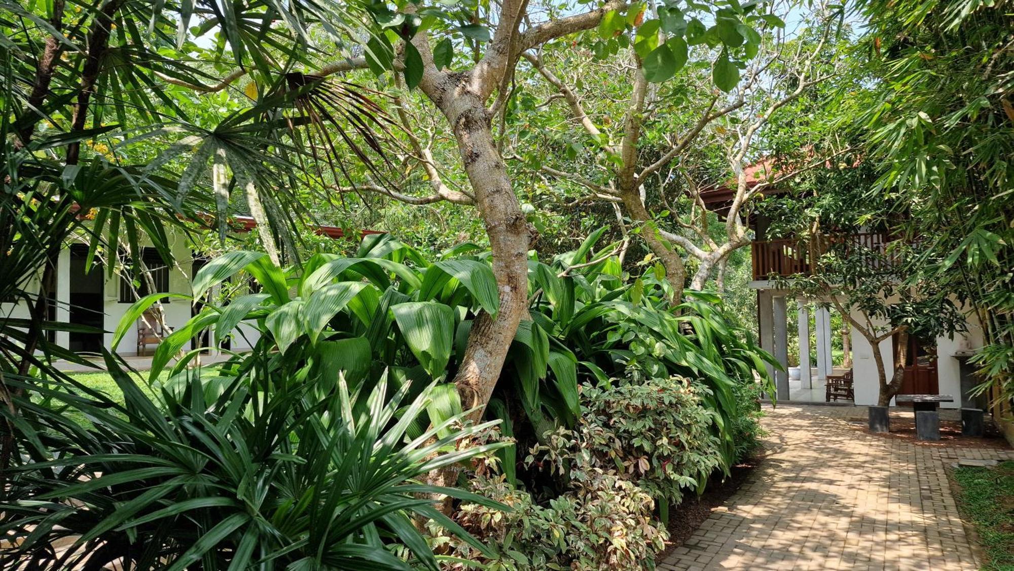 Villa Arana בנטוטה מראה חיצוני תמונה