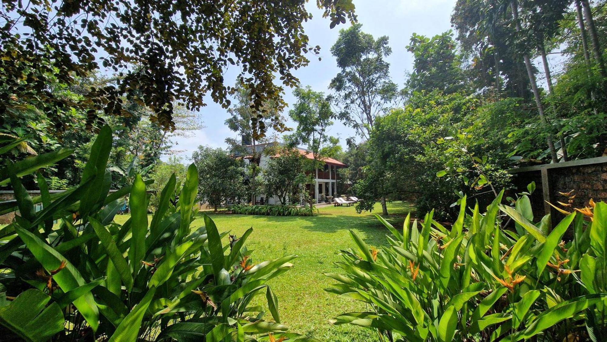 Villa Arana בנטוטה מראה חיצוני תמונה