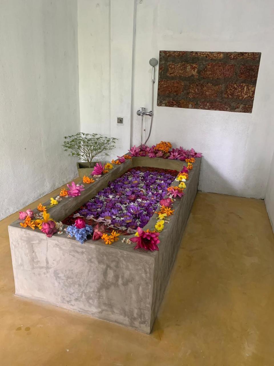 Villa Arana בנטוטה מראה חיצוני תמונה